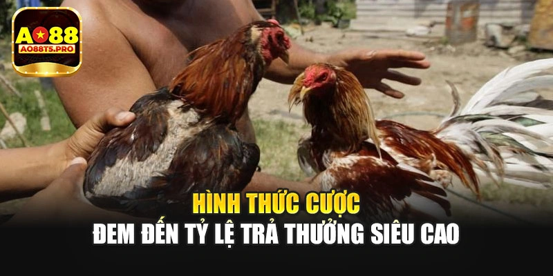 Hình thức cược đem đến tỷ lệ trả thưởng siêu cao